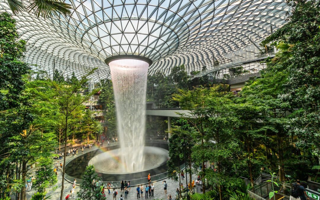 14 Patterns of Biophilic Design – Sensory Elements of Nature